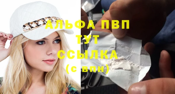 PSILOCYBIN Протвино