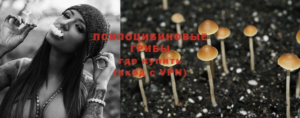 PSILOCYBIN Протвино