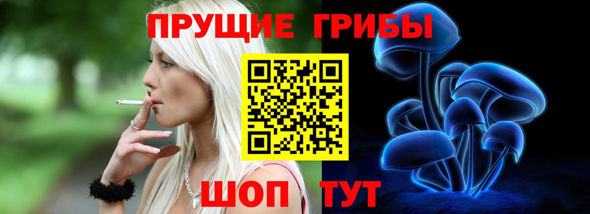 Шарыпово  Галлюциногенные грибы Psilocybine cubensis  купить закладку  Вход с VPN  Псилоцибиновые грибы ЛСД 